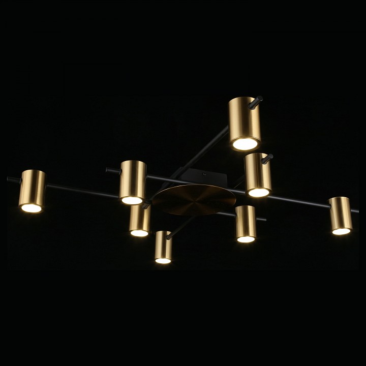 Потолочная люстра aployt elwisia apl.633.07.08