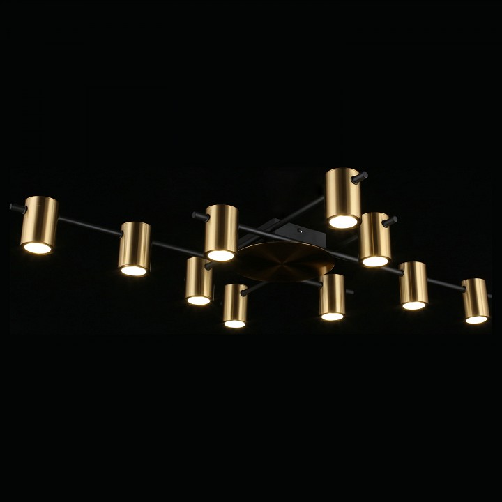 Потолочная люстра aployt elwisia apl.633.07.10