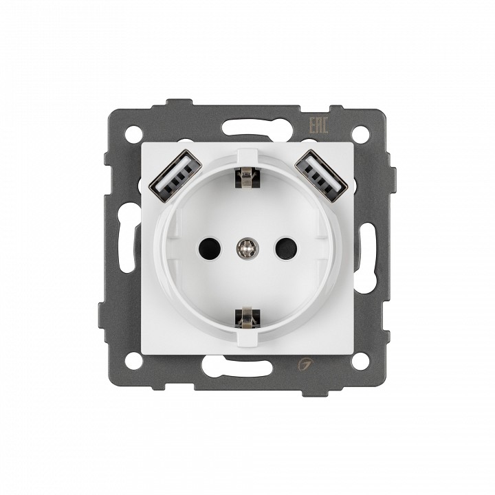 Розетка с заземлением и 2хusb type a, Без рамки arlight sct 049818