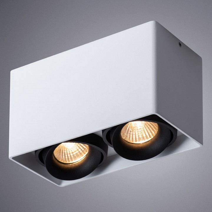 Накладной светильник arte lamp pictor a5654pl-2wh