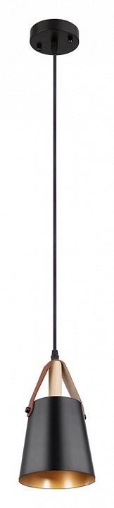 Подвесной светильник arte lamp thomas a7032sp-1bk