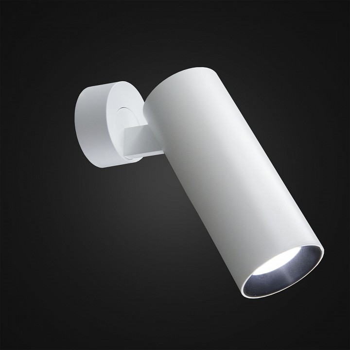 Спот citilux тубус cl01b120n