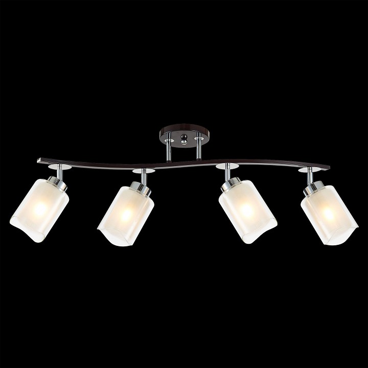 Спот citilux фортуна cl156142