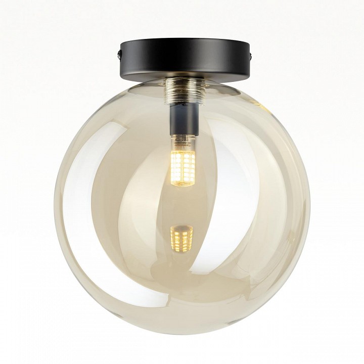 Накладной светильник citilux orton cl202512