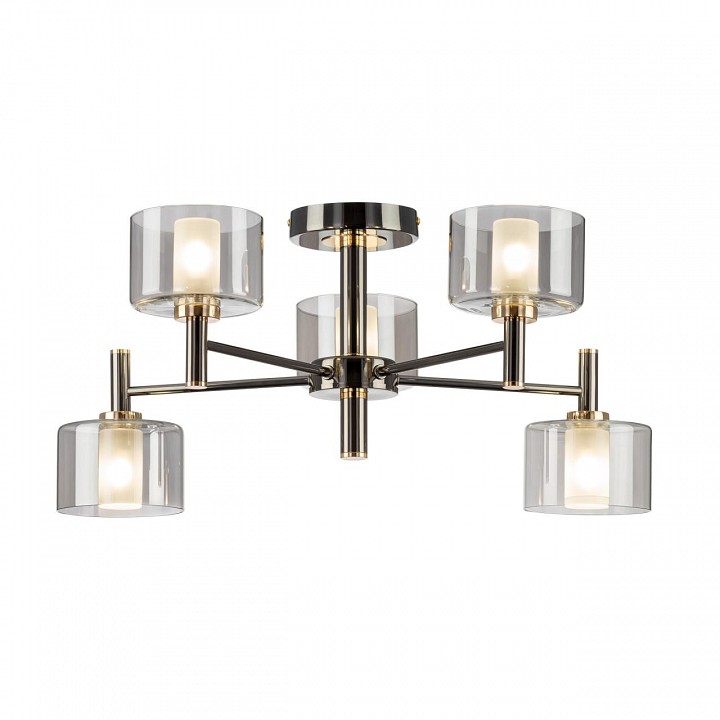 Люстра на штанге citilux elan cl241151