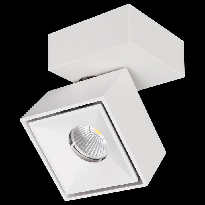 Спот citilux стамп cl558020n