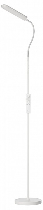 Торшер citilux alex cl804050