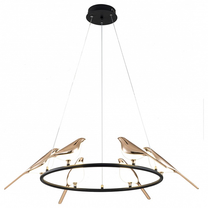 Подвесной светильник divinare summer 1188/06 lm-42