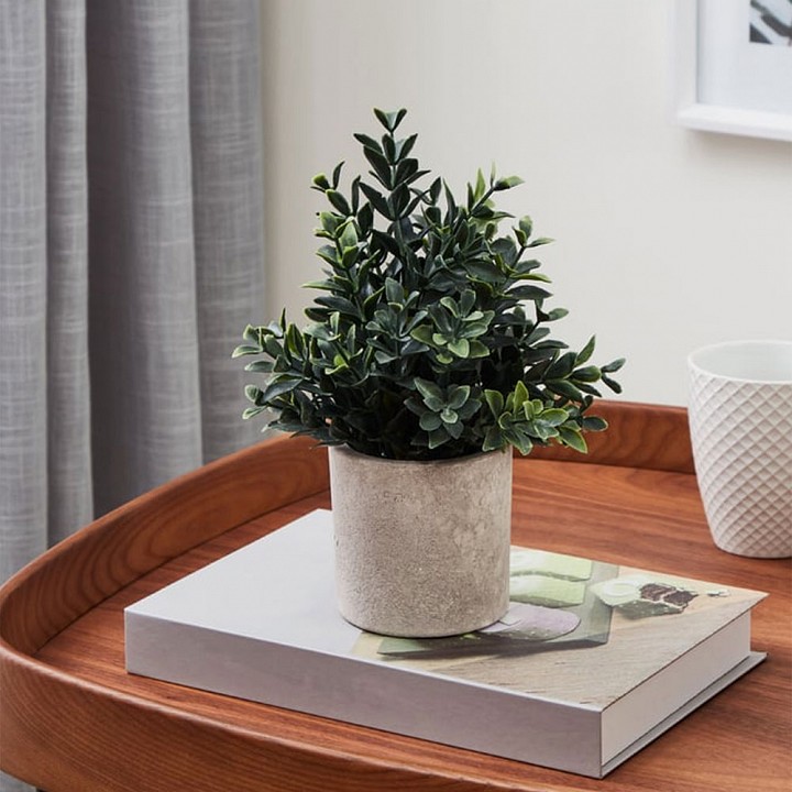 Растение в горшке eglo chitose 428028