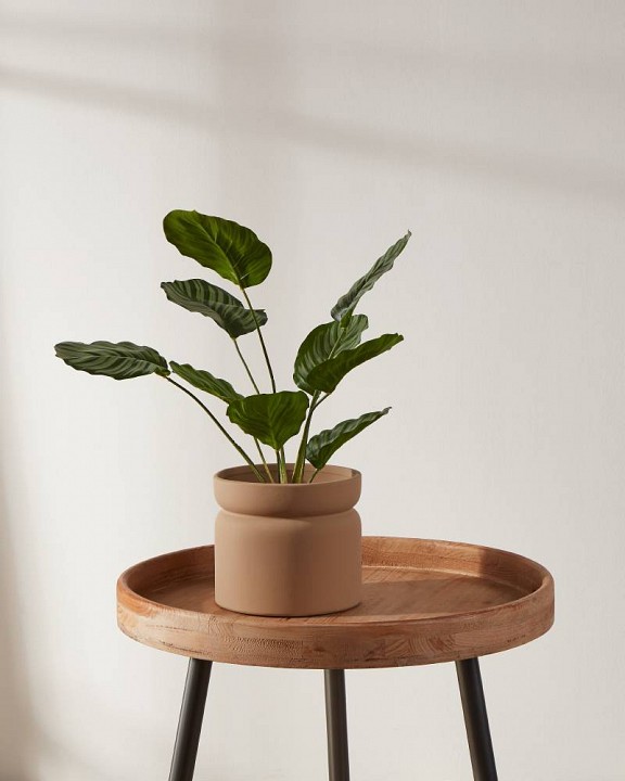 Кашпо eglo parkent 428149