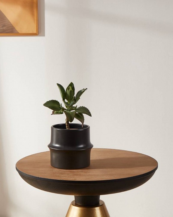 Кашпо eglo parkent 428151