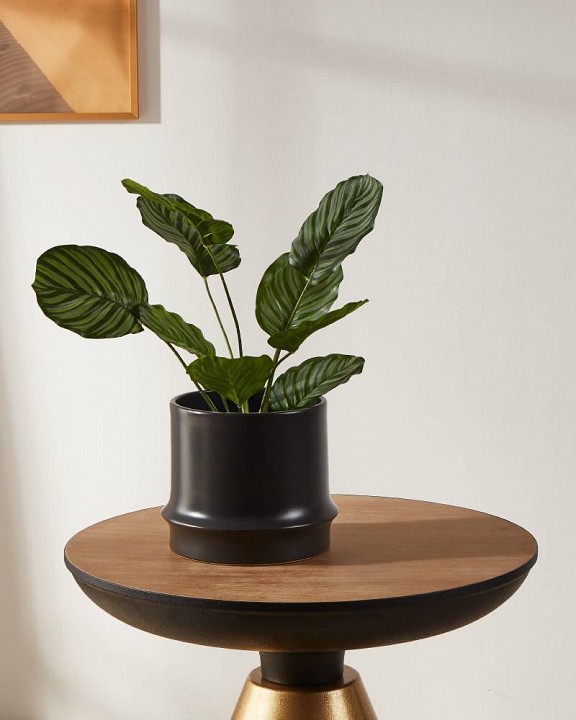 Кашпо eglo parkent 428152