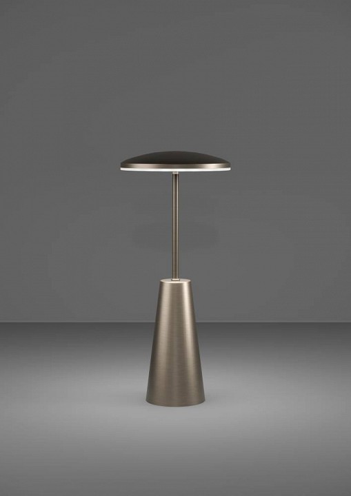 Настольная лампа декоративная eglo piccola 900924