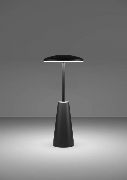 Настольная лампа декоративная eglo piccola 900925