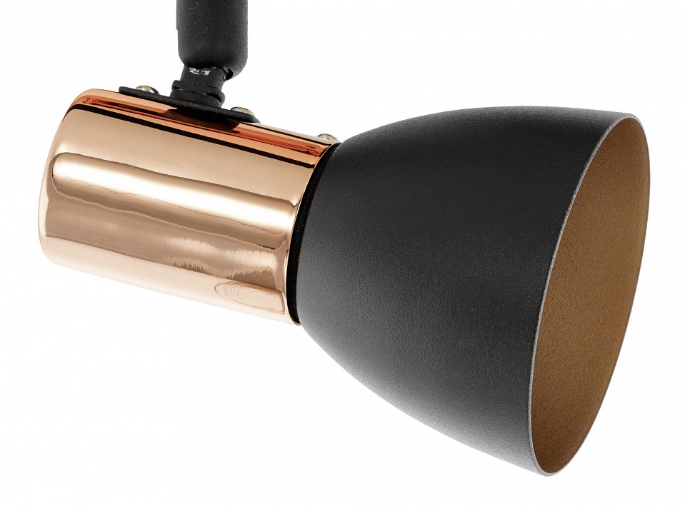 Спот eglo barnham 94587