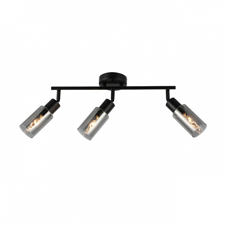 Спот escada sector 10172/3a chrome