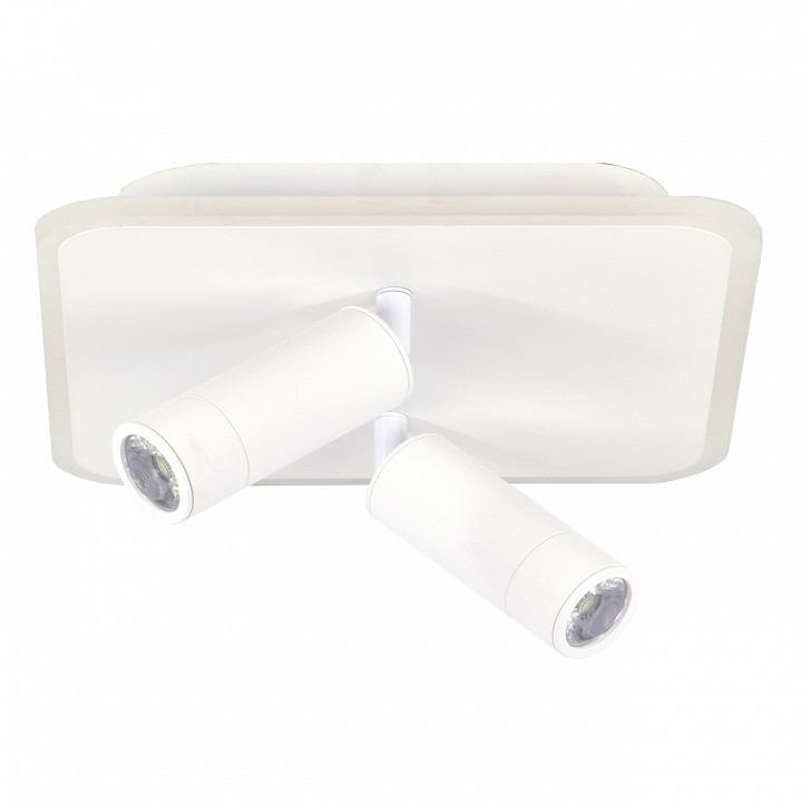 Накладной светильник escada  20024sma/01led wh