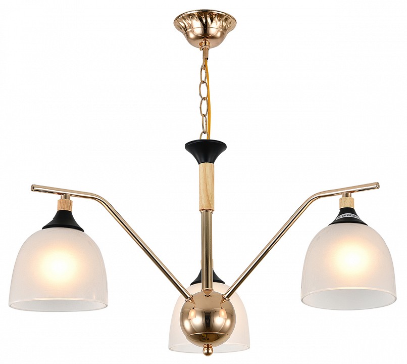 Подвесная люстра escada actinidia 2123/3p