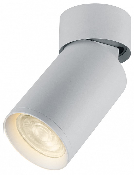 Светильник на штанге feron barrel 41876