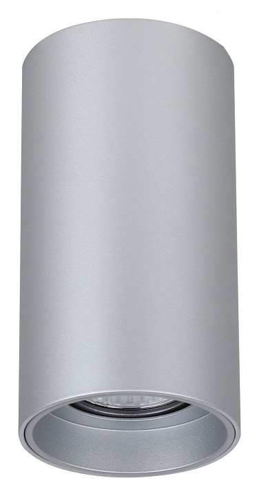 Накладной светильник favourite stirpe 2797-1u