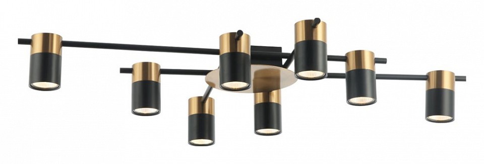 Потолочная люстра favourite topper 2825-8p