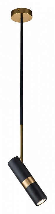 Светильник на штанге favourite light point 2997-1p