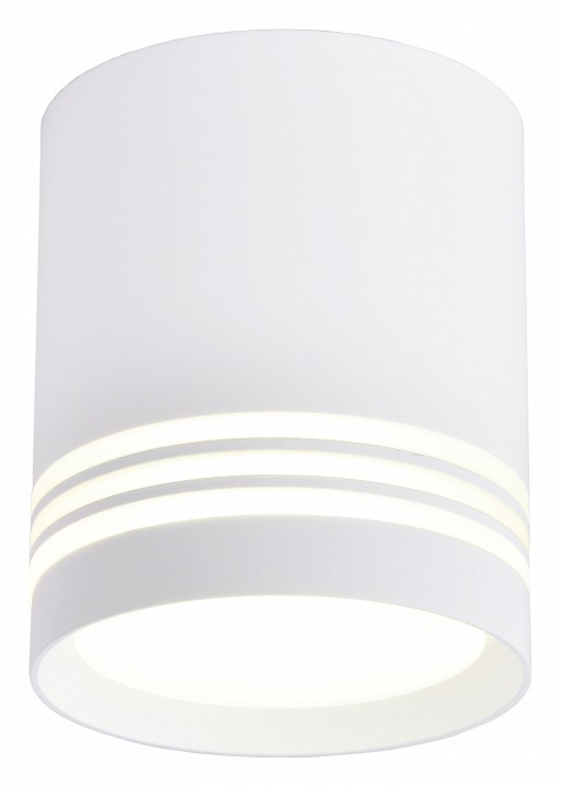 Накладной светильник favourite darar 3065-1c