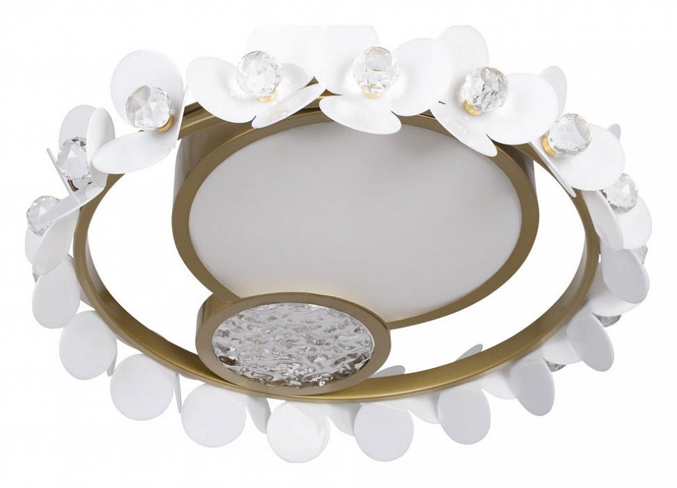 Накладной светильник loft it bride 10173