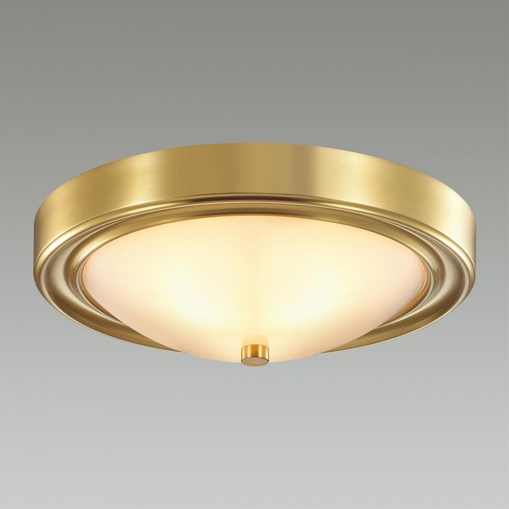 Накладной светильник lumion nina 5259/2c