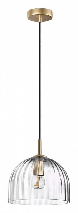 Подвесной светильник lumion ellie 6551/1