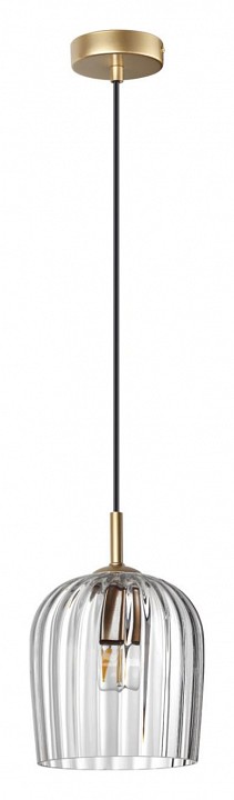 Подвесной светильник lumion ellie 6551/1a