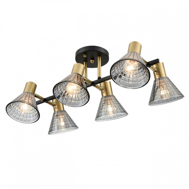 Люстра на штанге lumion anriya 8044/6c