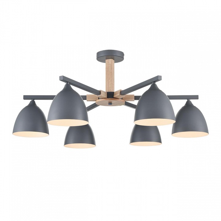 Люстра на штанге lumion colange 8096/6c