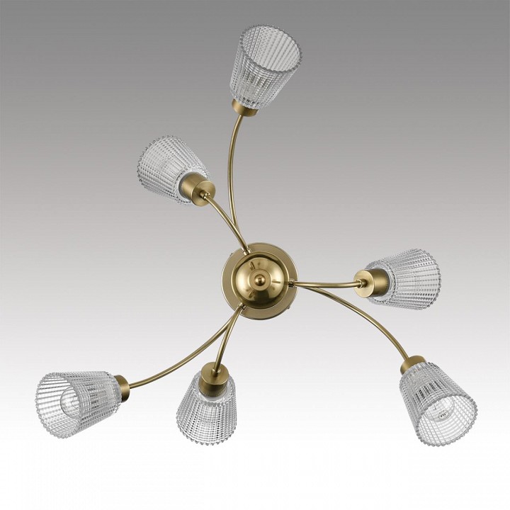 Люстра на штанге lumion imana 8154/6c