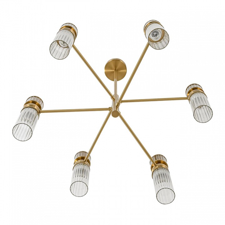 Люстра на штанге lumion denver 8276/6