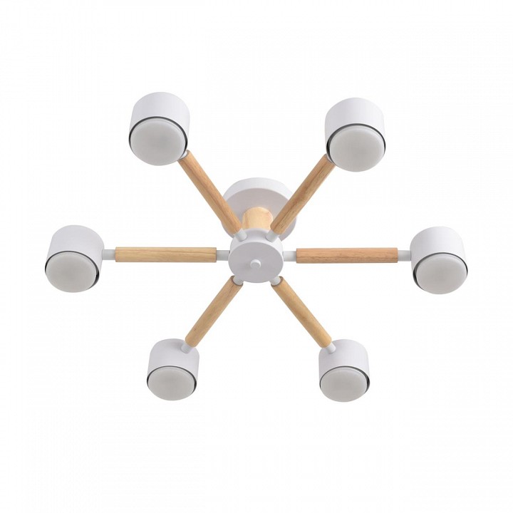 Люстра на штанге lumion vudi 8306/6c