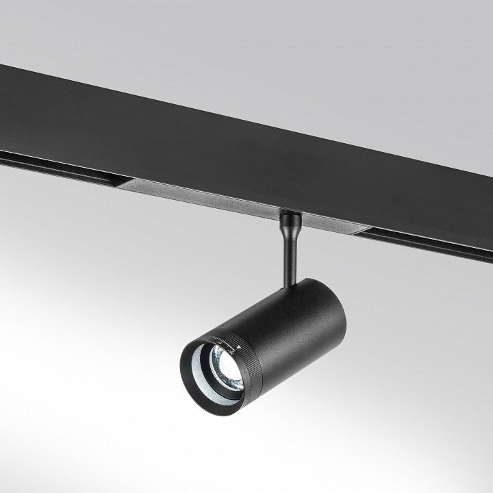 Светильник на штанге lightstar teta 205007