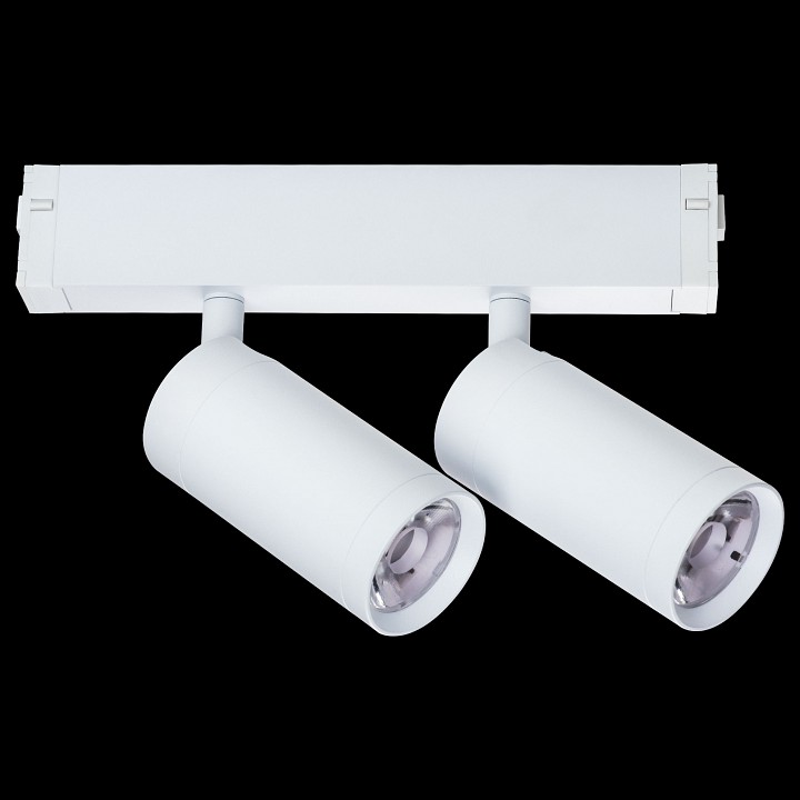 Светильник на штанге lightstar teta 205506