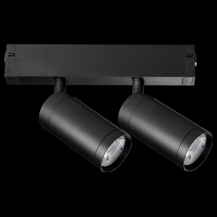 Светильник на штанге lightstar teta 205507