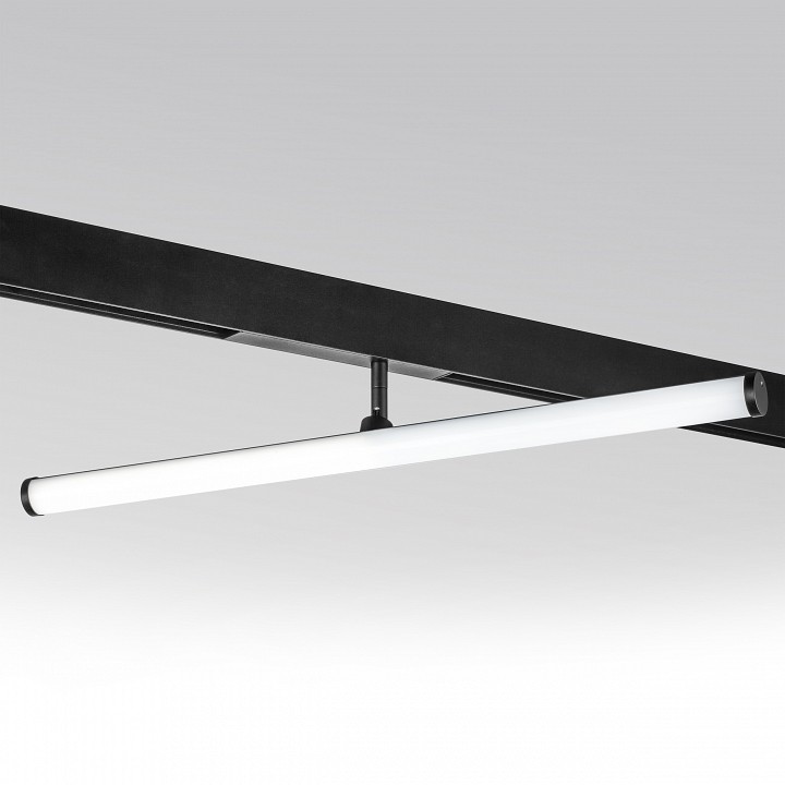 Светильник на штанге lightstar teta 205607