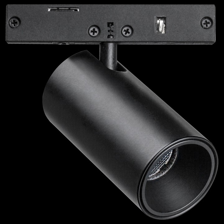 Светильник на штанге lightstar linea 206147