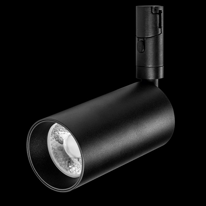 Светильник на штанге lightstar due 207337