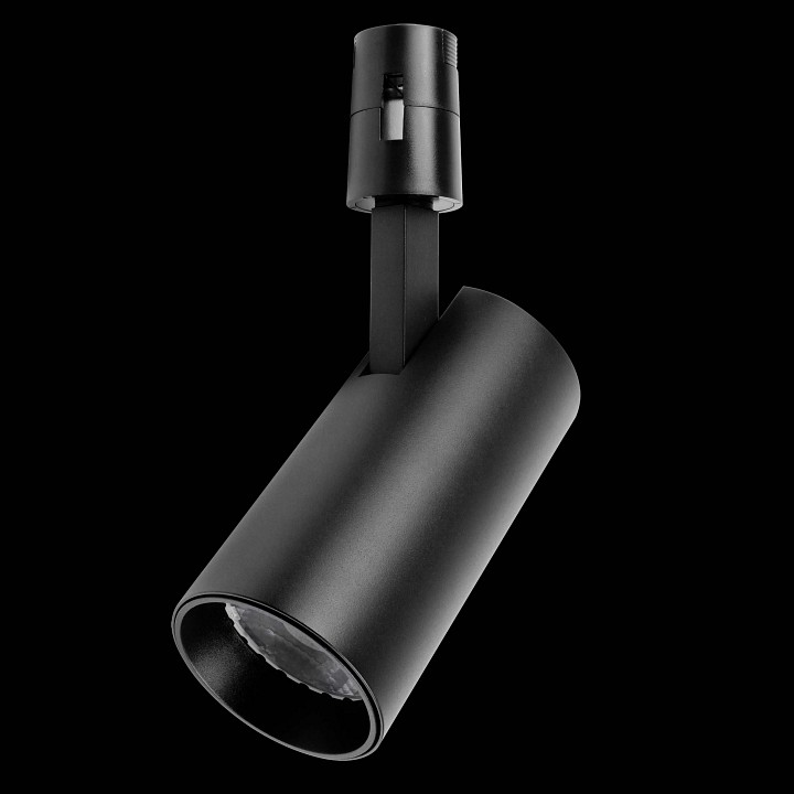 Светильник на штанге lightstar due hermes 210247