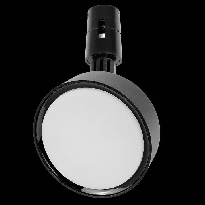 Светильник на штанге lightstar due hermes 210547