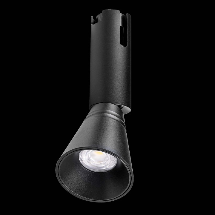 Светильник на штанге lightstar due hermes 210847