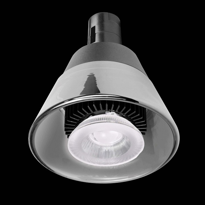 Накладной светильник lightstar due hermes 210947