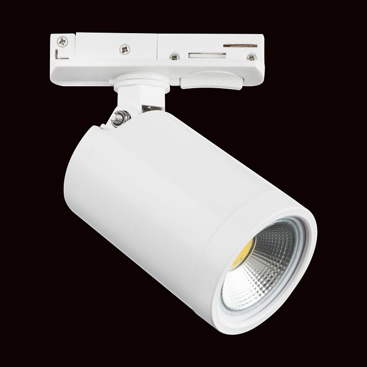 Светильник на штанге lightstar rullo 212936