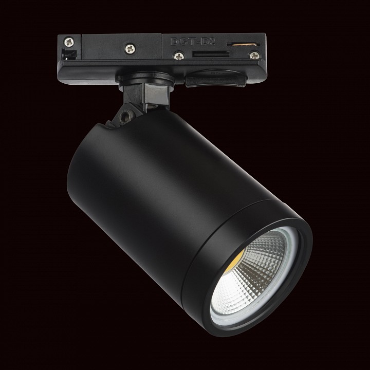 Светильник на штанге lightstar rullo 212937