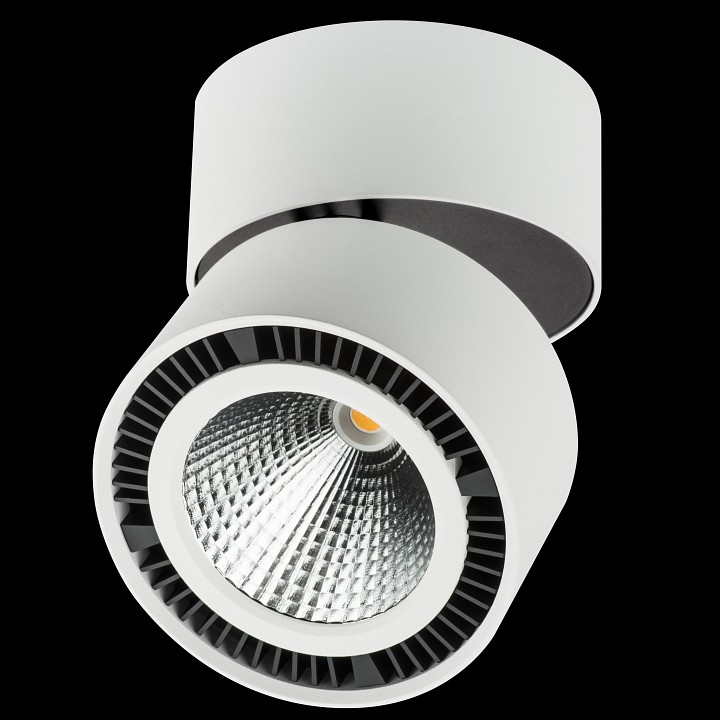 Накладной светильник lightstar forte muro 213830