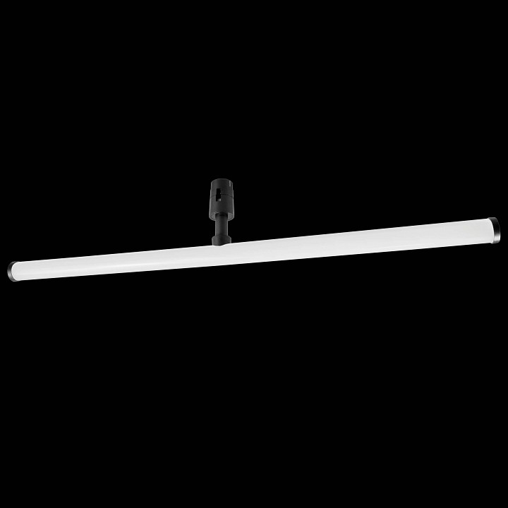 Светильник на штанге lightstar due hermes 270547